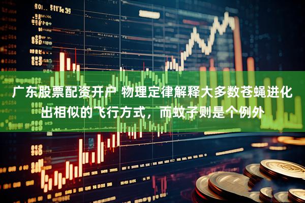 广东股票配资开户 物理定律解释大多数苍蝇进化出相似的飞行方式，而蚊子则是个例外