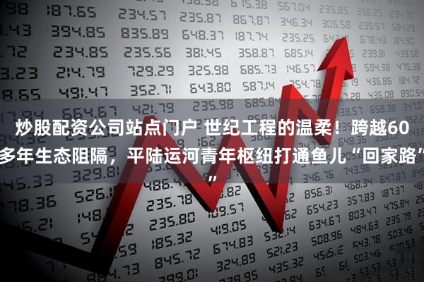 炒股配资公司站点门户 世纪工程的温柔！跨越60多年生态阻隔，平陆运河青年枢纽打通鱼儿“回家路”